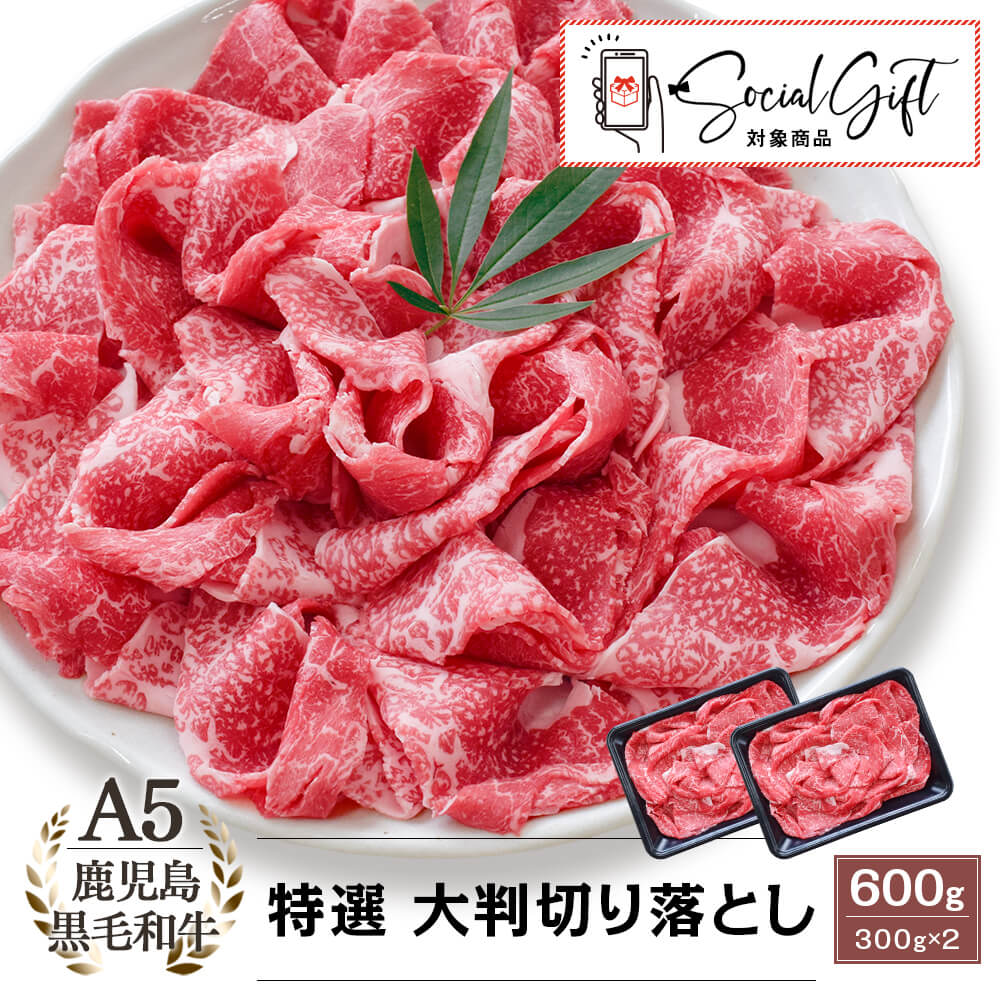 【送料無料】A5等級 鹿児島県産黒毛和牛 特選 大判 切り落とし 600g(300g×2パック)｜お中元・夏の贈り物