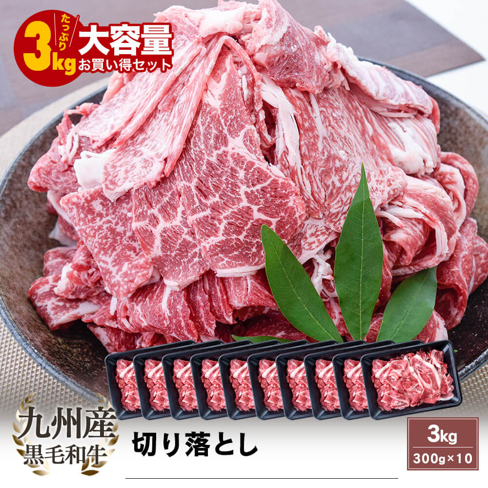 【送料無料｜大容量｜お買い得】九州産 黒毛和牛 切り落とし 3kg(300g×10)