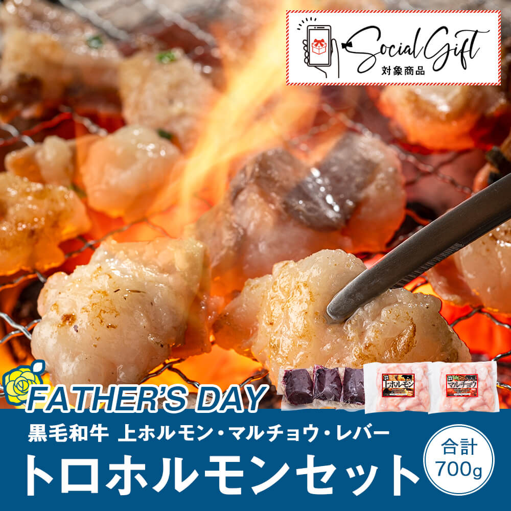 【送料無料】国産黒毛和牛 トロホルモンセット｜上ホルモン 200g・マルチョウ200g・レバーブロック300g｜父の日 特選ギフト