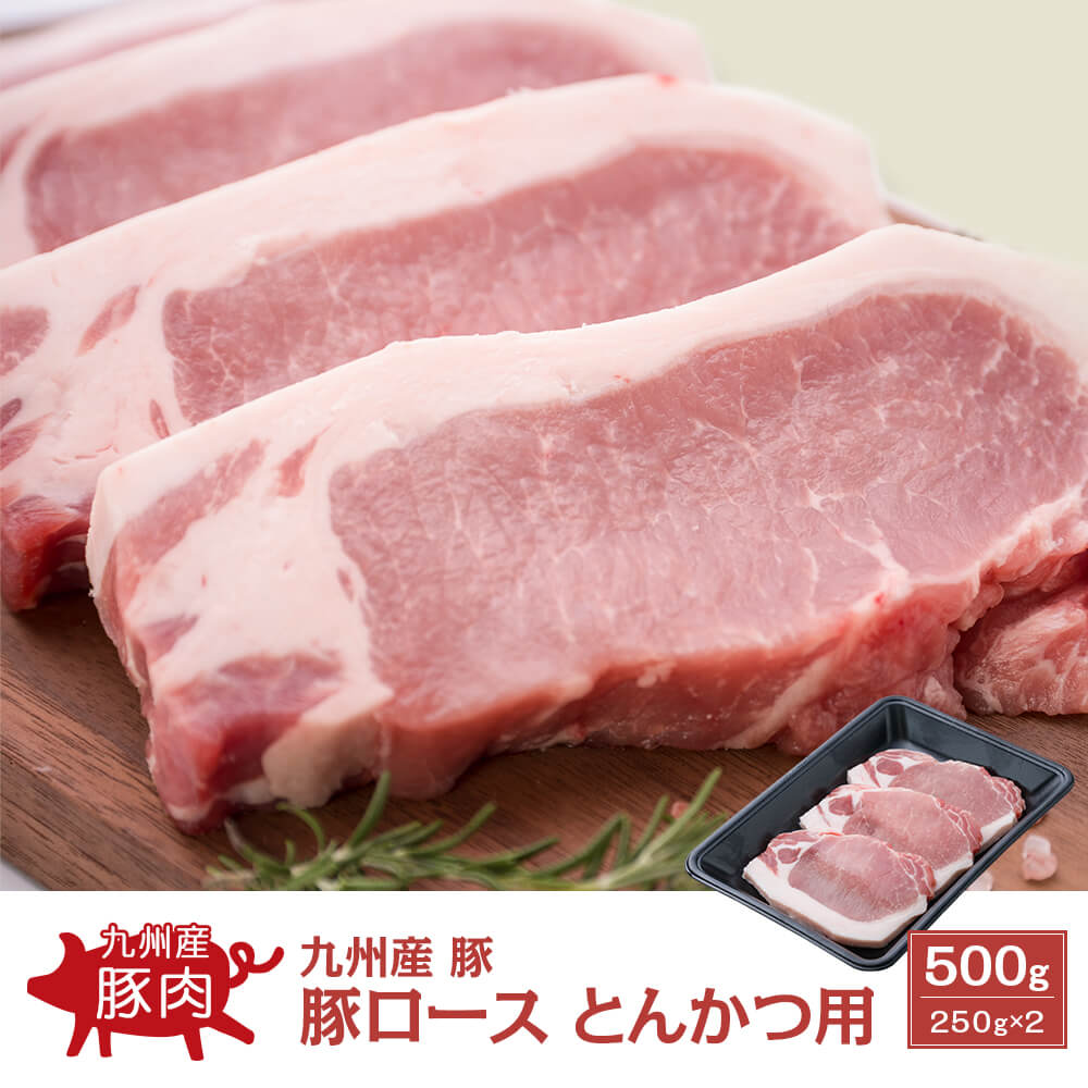 九州産 豚ロースとんかつ用 500g(250g×2)
