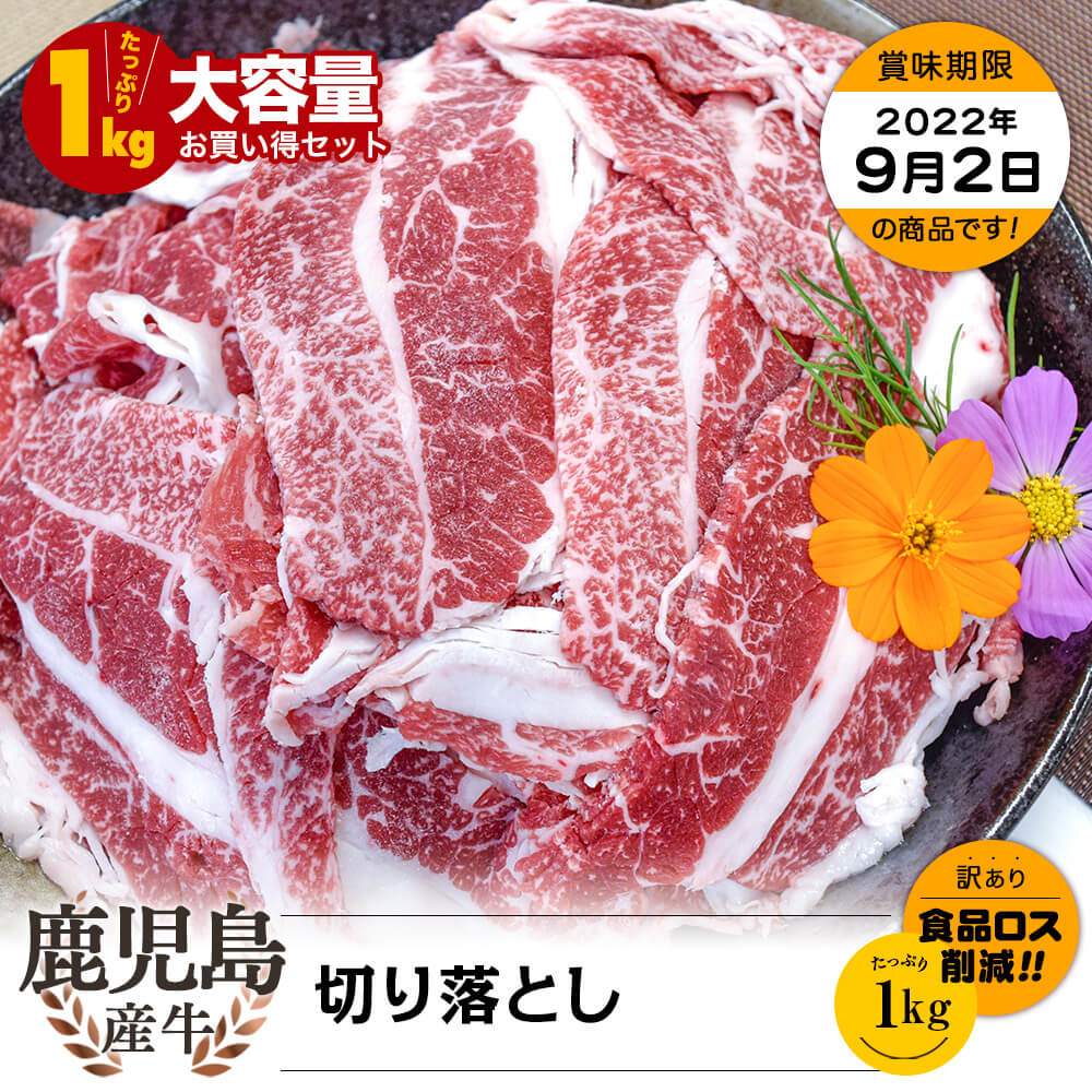 【お買い得】鹿児島県産牛 切り落とし 1kg(250g×4)
