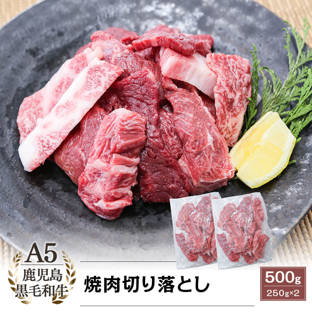 A5等級 鹿児島県産黒毛和牛 焼肉 切り落とし 500g(250g×2)